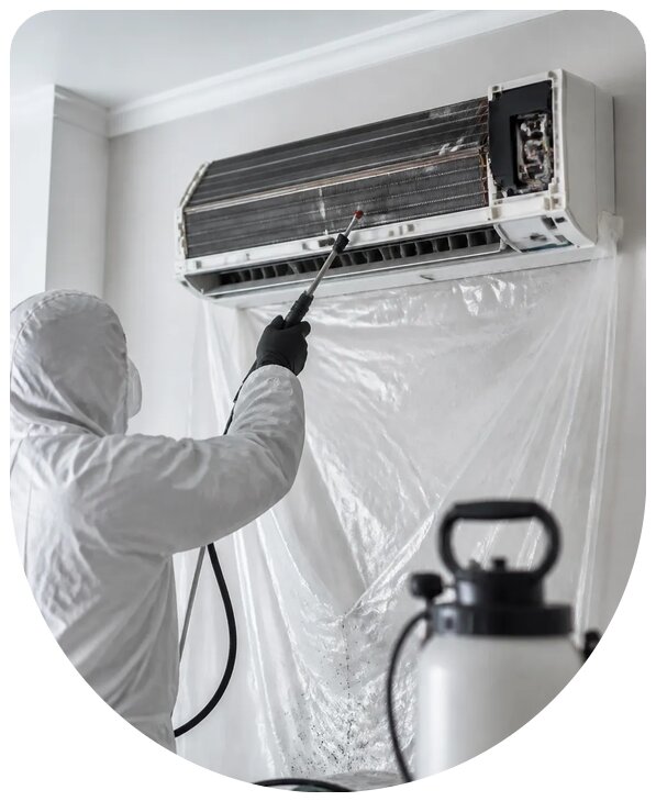 Профессиональная дезинсекция системы кондиционирования в Сегеже